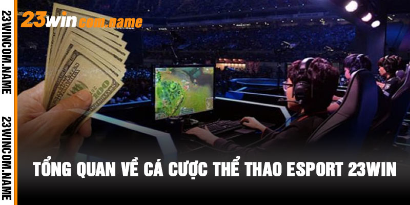 Tổng Quan Về Cá Cược Thể Thao Esport 23WIN