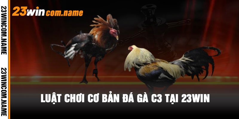 Luật chơi cơ bản Đá Gà C3 tại 23WIN