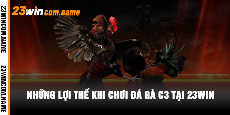 Kinh nghiệm cá cược Đá Gà C3 tại 23WIN